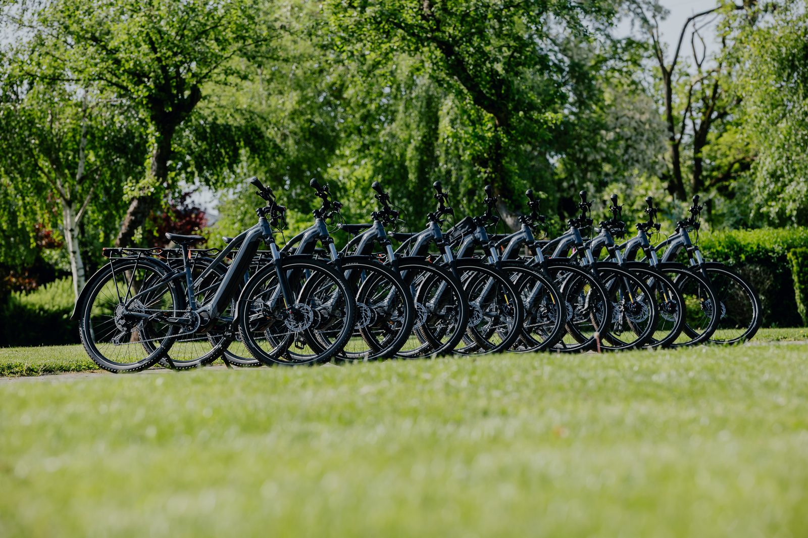 Bikes available to rent on the campsite grounds